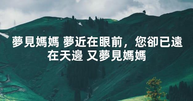 夢見媽媽 夢近在眼前，您卻已遠在天邊 又夢見媽媽